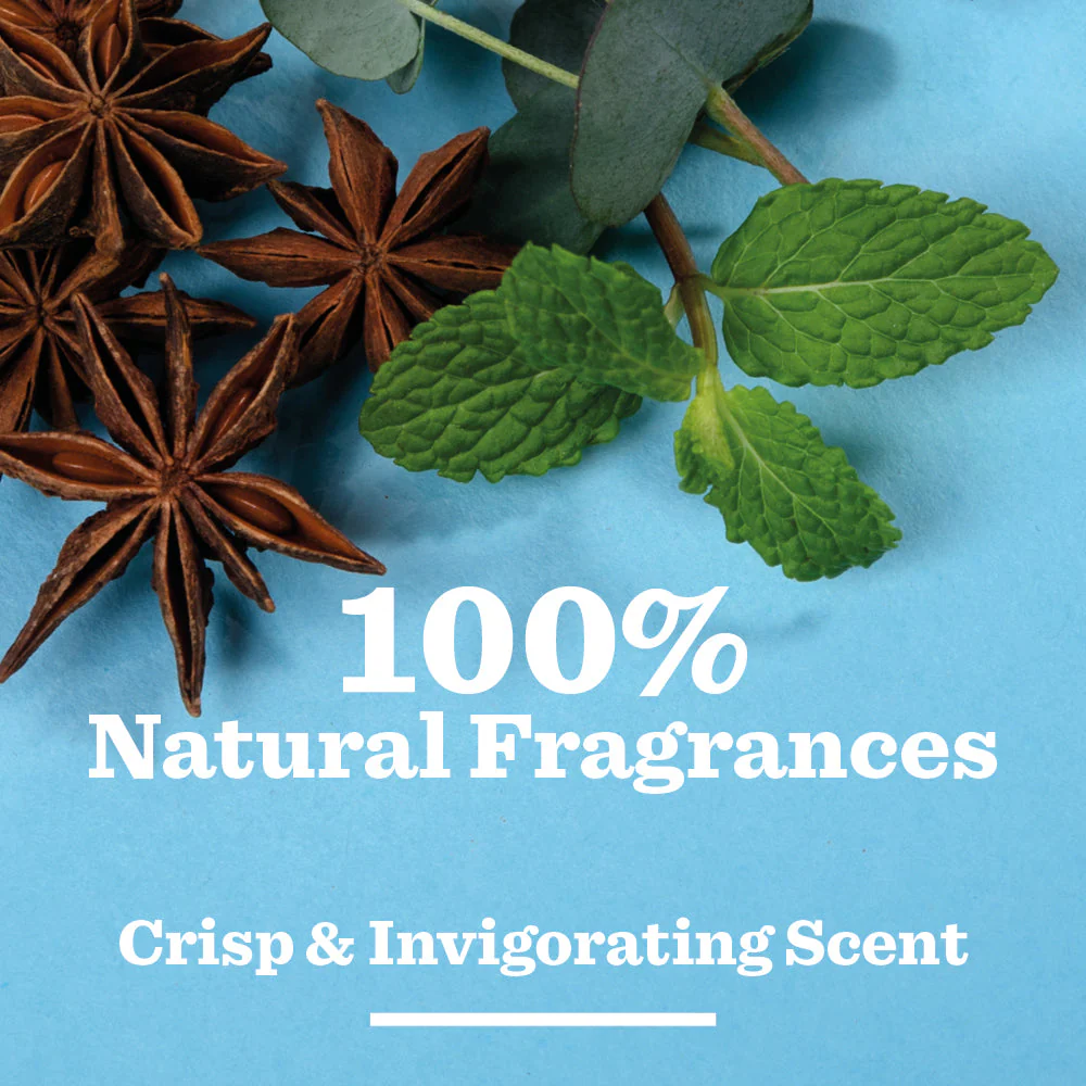 Peppermint & Eucalyptus Shower Gel - Image 3